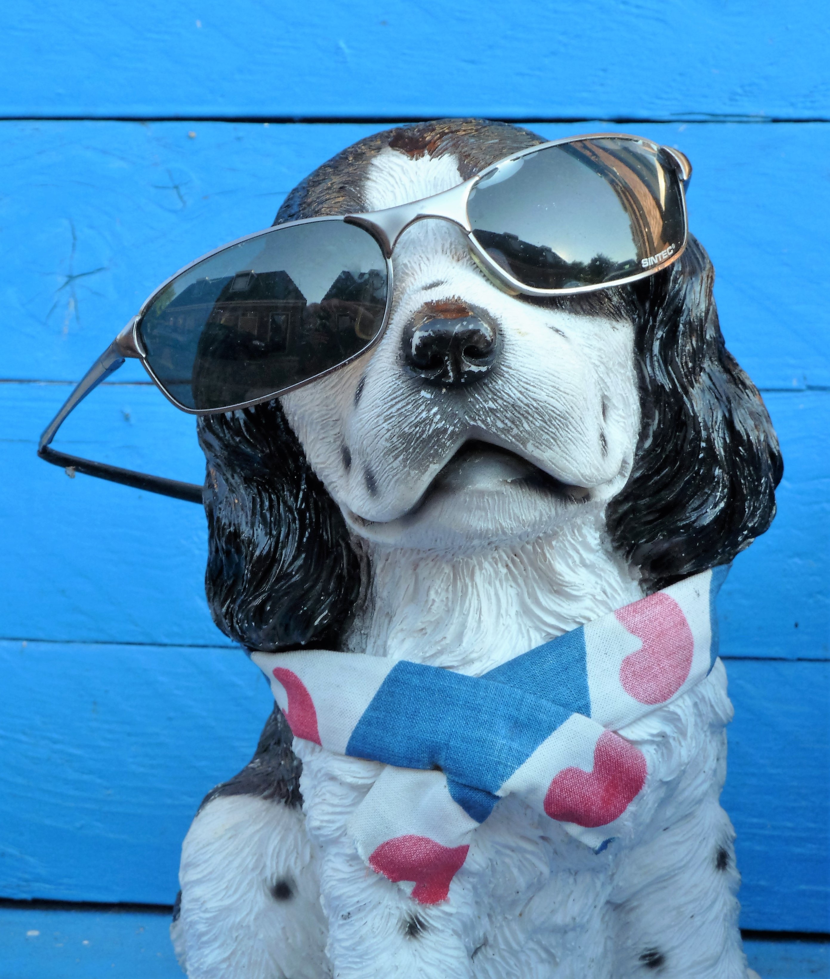 Animal Dog Sunglasses free image download