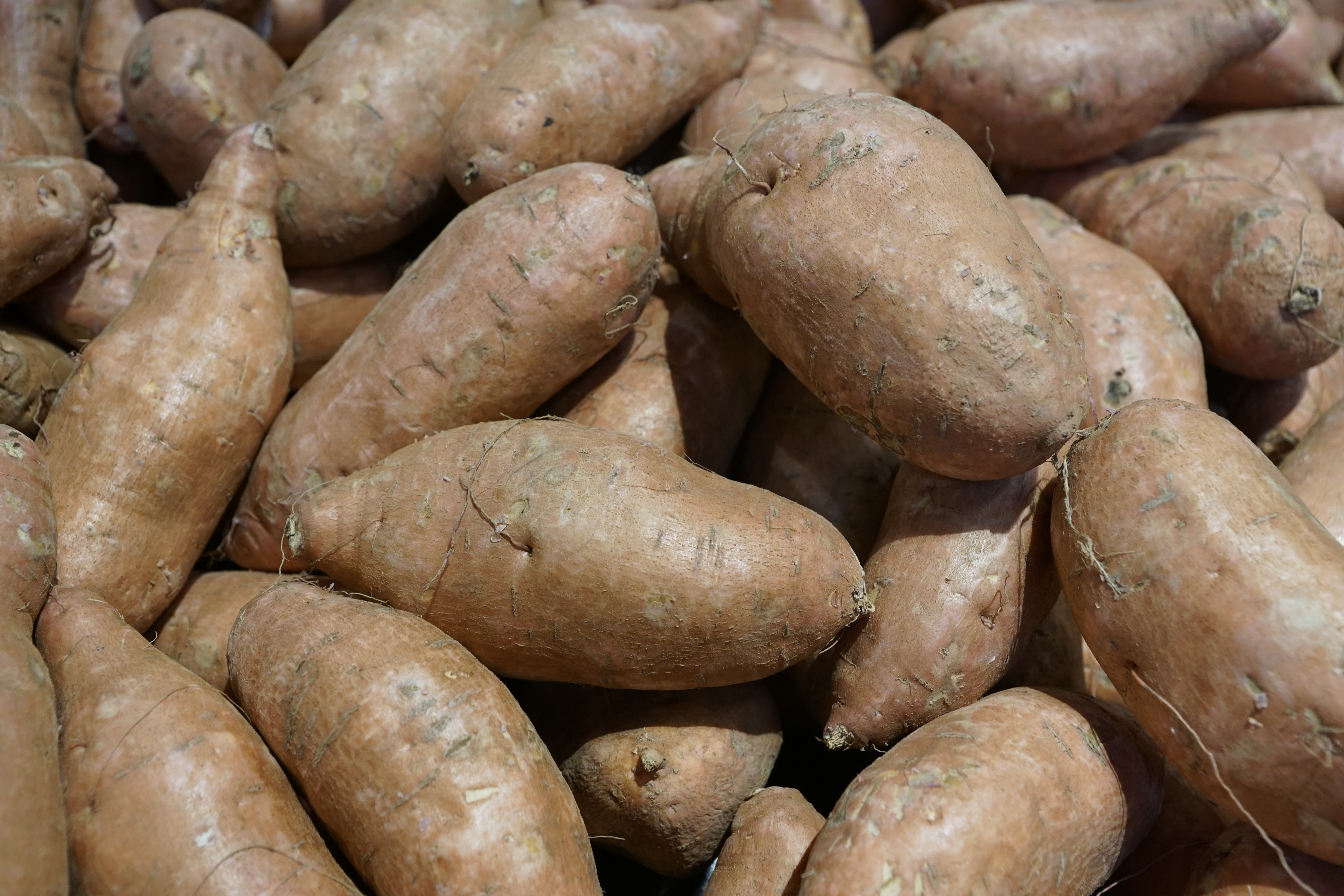 Как по английски будет картошка. Eat Potatoes. В каких странах едят картофель.