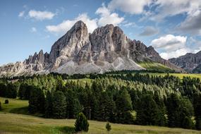 Alpine Forest Mountains