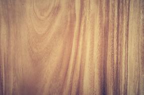 orange Antique Backdrop drawing