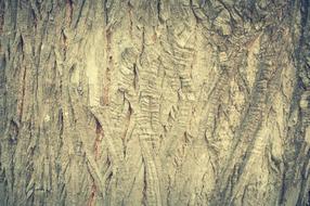 Abstract Antique Backdrop tree drawing