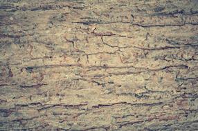 Abstract Antique Backdrop stone drawing