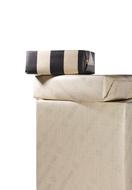 Package Gift Christmas