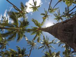Daylight Environment Low Angle
