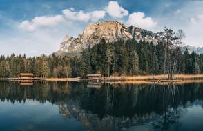 Cabin Forest Lake