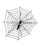 clipart of halloween spider web cobweb insect
