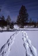 Snowshoe Winter Landscape