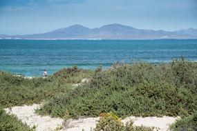 Fuerteventura Landscape