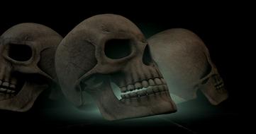skull bone hneon drawing