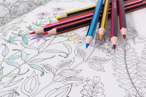 colored pencils lie on the coloring