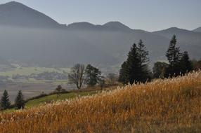 Autumn Sun Landscape