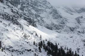 Mountains View Landscape