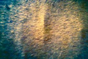 Texture Grunge drawing