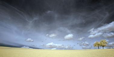 Clouds Field Grass