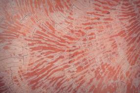 Red and pink abstract antique background