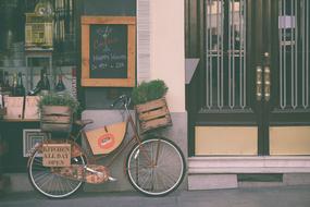 decorated with plants bicycle