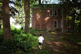 small child Boy walks through park to house