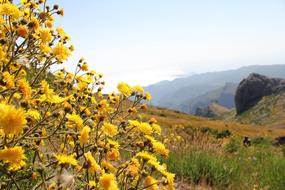 Mountains Landscape View