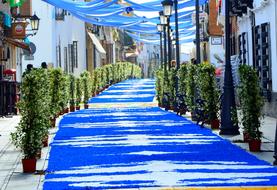 Corpus Torrenueva Procession