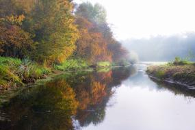 River Fog Rain