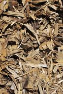 Old Wood texture Background