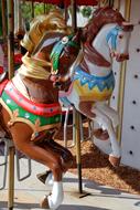 Merry Go Round Horses