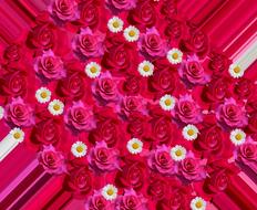 a large bouquet of flowers on a pink background