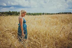 young pregnant woman in ripe field of crops at summer, russia