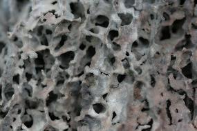 Roche Hole Erosion texture
