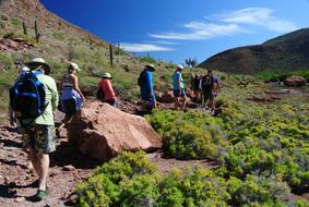 group of people walking away on hiking trail