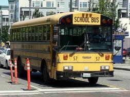 School Bus Street City