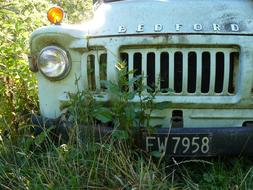 front of the car in the grass