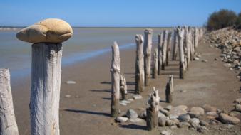 Nature Camargue