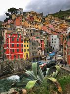 colored stone houses on the street