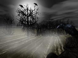 black ravens on plants in the fog