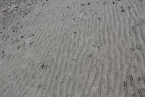 Sand Sea shore