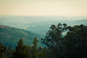 Portugal Forest Mountain