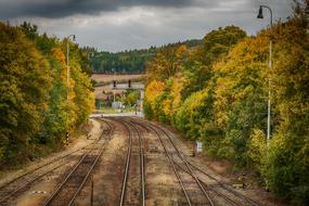 railroad through the woods