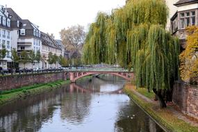 Strasbourg River