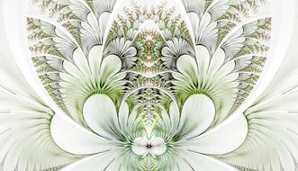 fractal delicate white background drawing