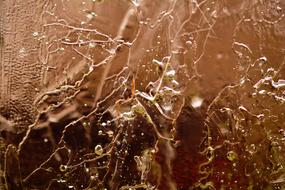 Iced Structure water