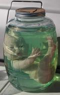 Halloween Doll Haunted