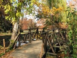 Autumn Trees and wooden bridge