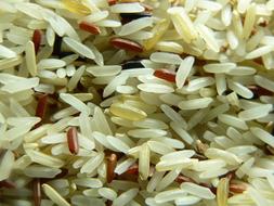 dried white rice grains