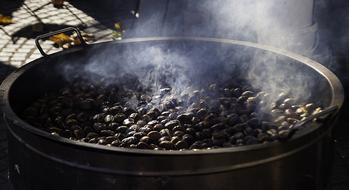 Roasting Chestnuts