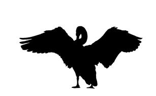swan silhouette black white drawing