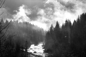 Borca ââDi Cadore Mountain Alps