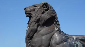 Sculpture beautiful Lion