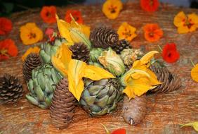 Autumn Harvest Agriculture