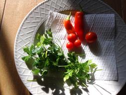 healthy vegetarian food